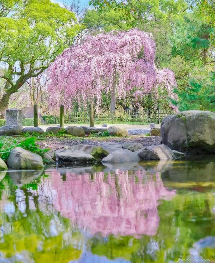Tsurui Goshonishi 鶴居御所西 Villa Киото Екстериор снимка